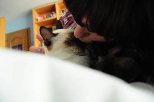 Kiss the cat