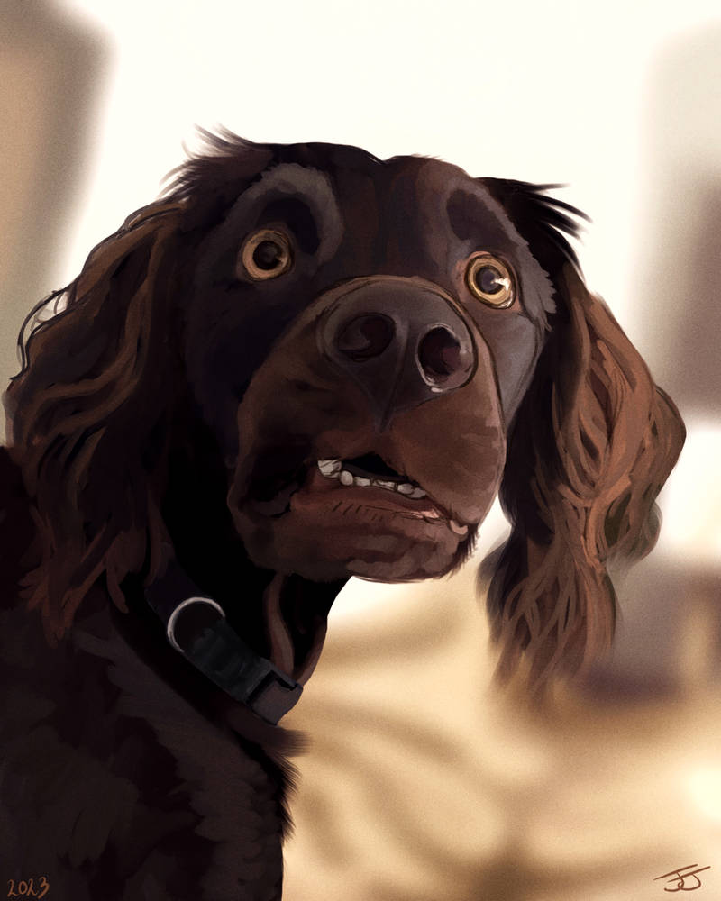 Famous Confused Dog Meme by muhreee on DeviantArt