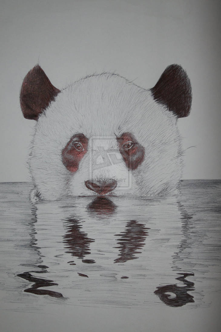 Reflectional panda by JamesConwayart on DeviantArt