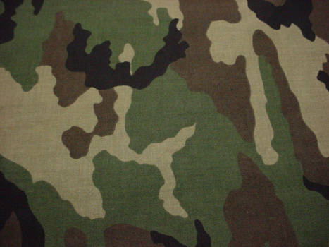 Woodland Camo