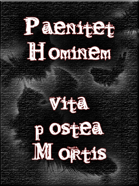 PaEnItEt HoMiNeM