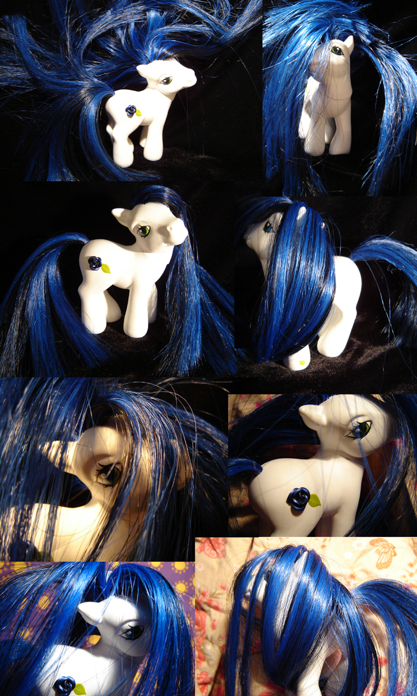 blue rose custom pony