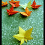 United Colors Of Autumn