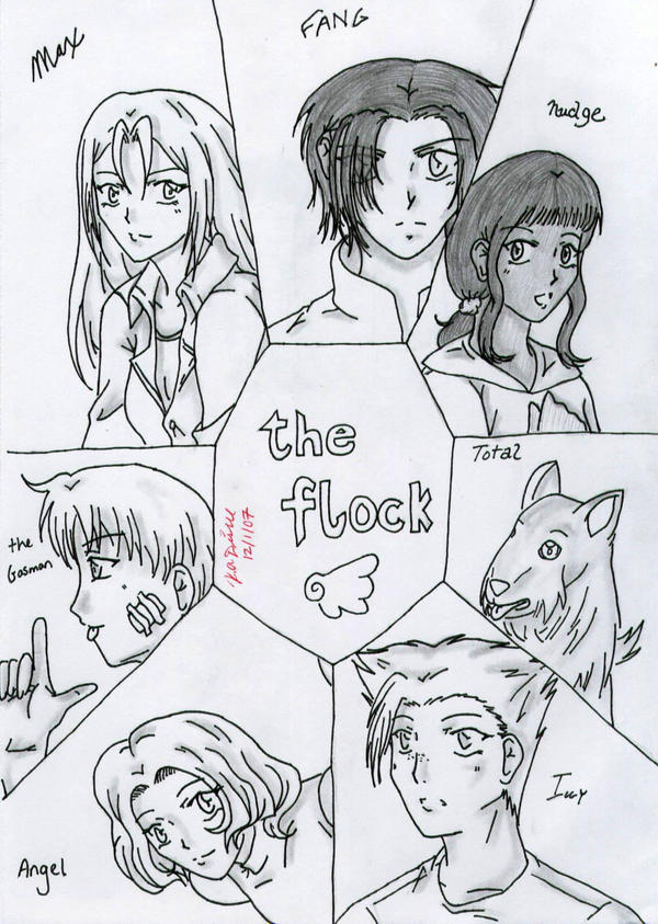 Flock Walker 'The Flock' -DreamwalkerKita by Maximum-Ride-Fans on DeviantArt