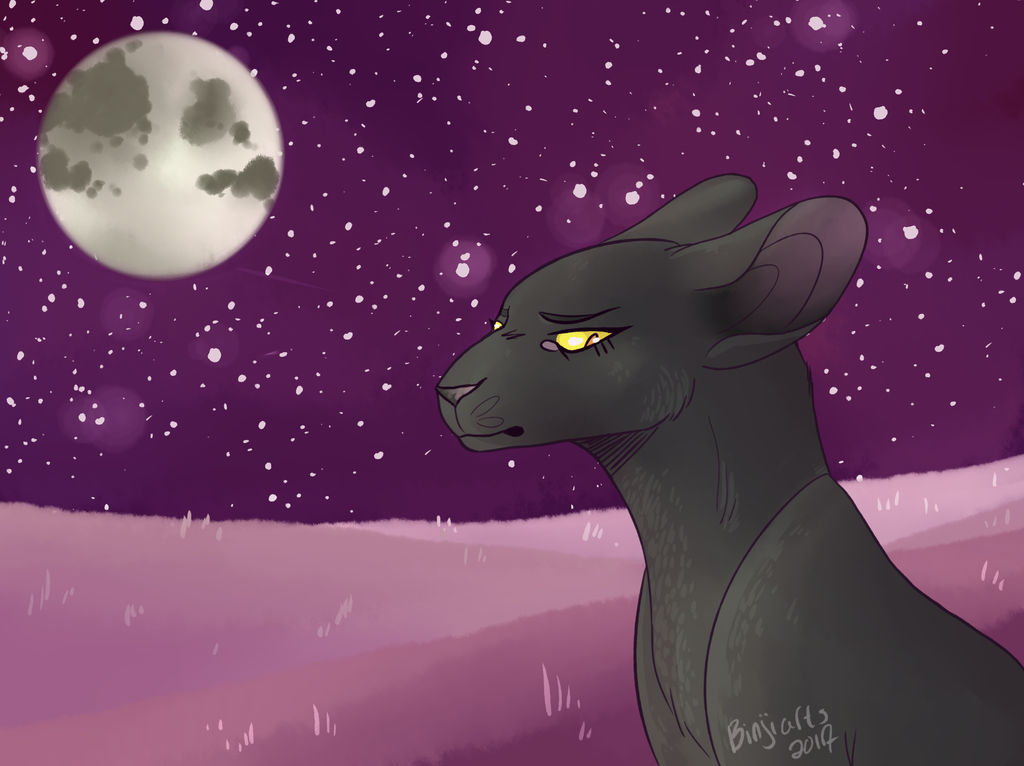 Nightcloud by binjiarts on DeviantArt
