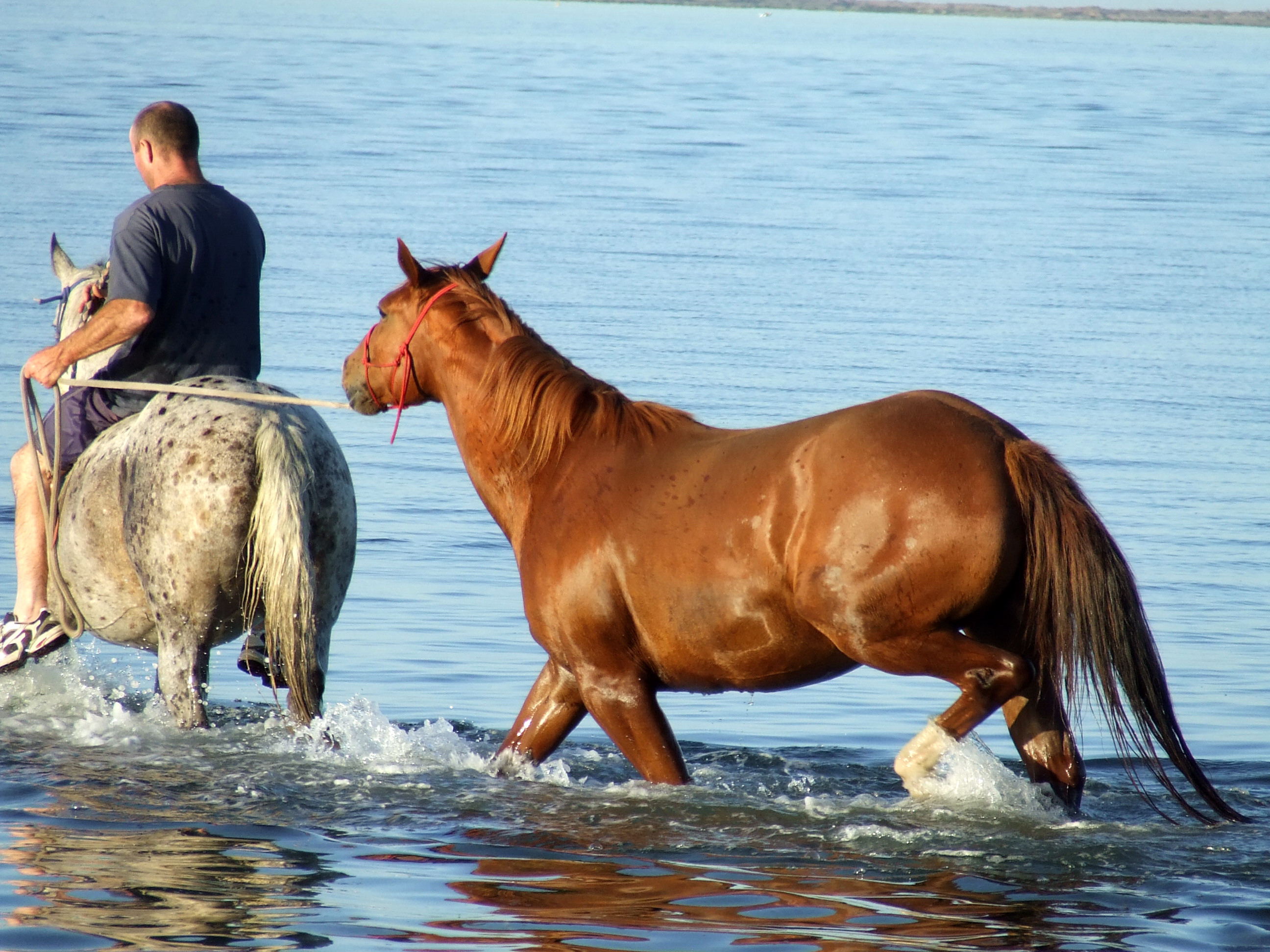 Splashing About I