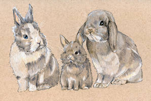 [Commission] Bunny family