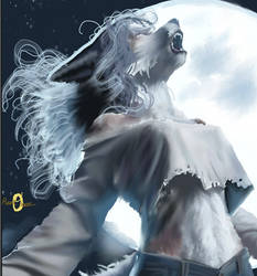 Lunar Tides