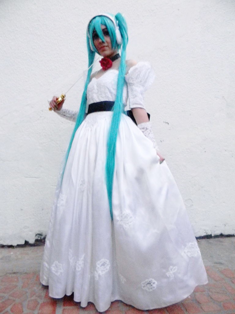 Cendrillon Cosplay - Kaito and Miku 26