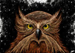 Fantasy Owl by JelleBlue