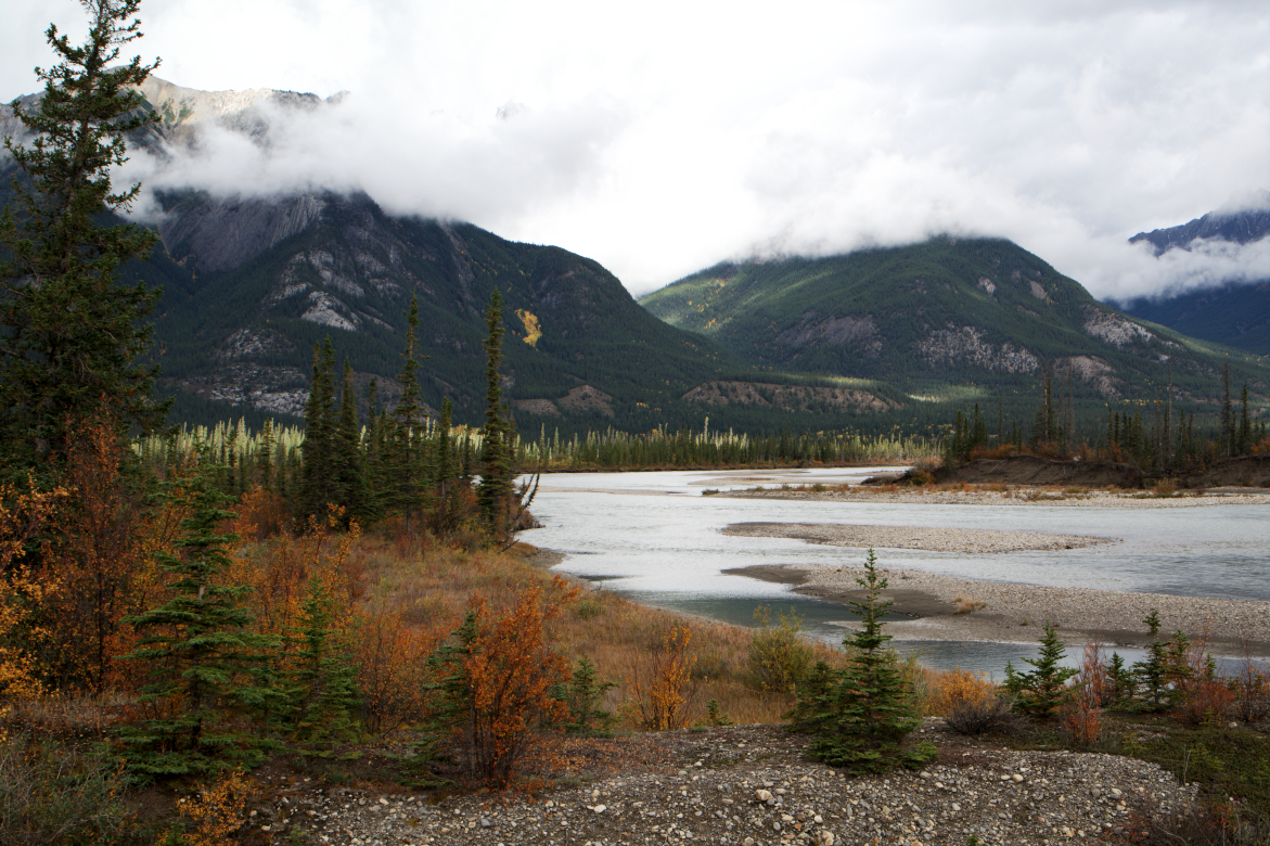 Jasper In Fall 1