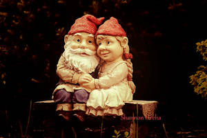 Gnome amour