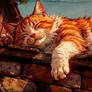 Kitty Nap