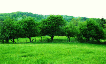 Orchards