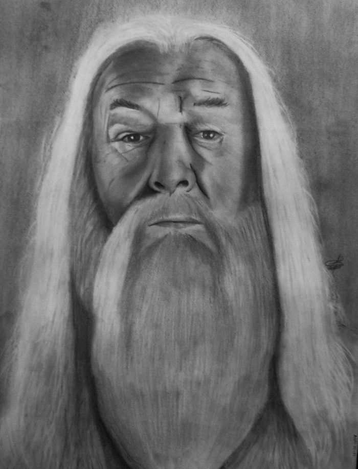 HP Dumbledore