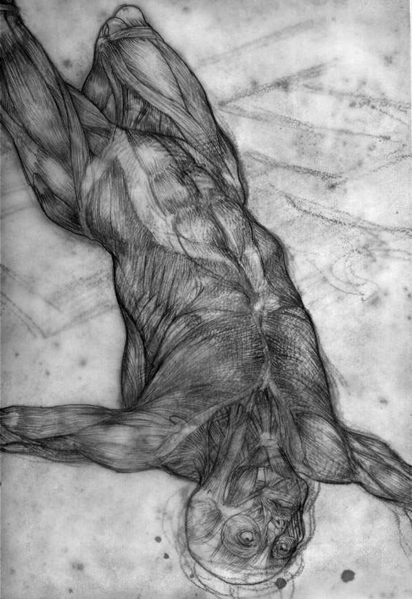 Gericault Muscle overlay