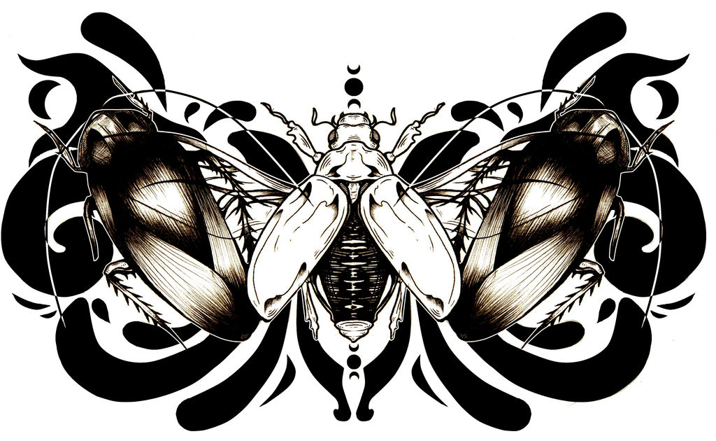 All Insects List Deviantart Insects by starblinx on DeviantArt