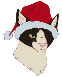 12/21/18 Christmas Request for S4ND0!