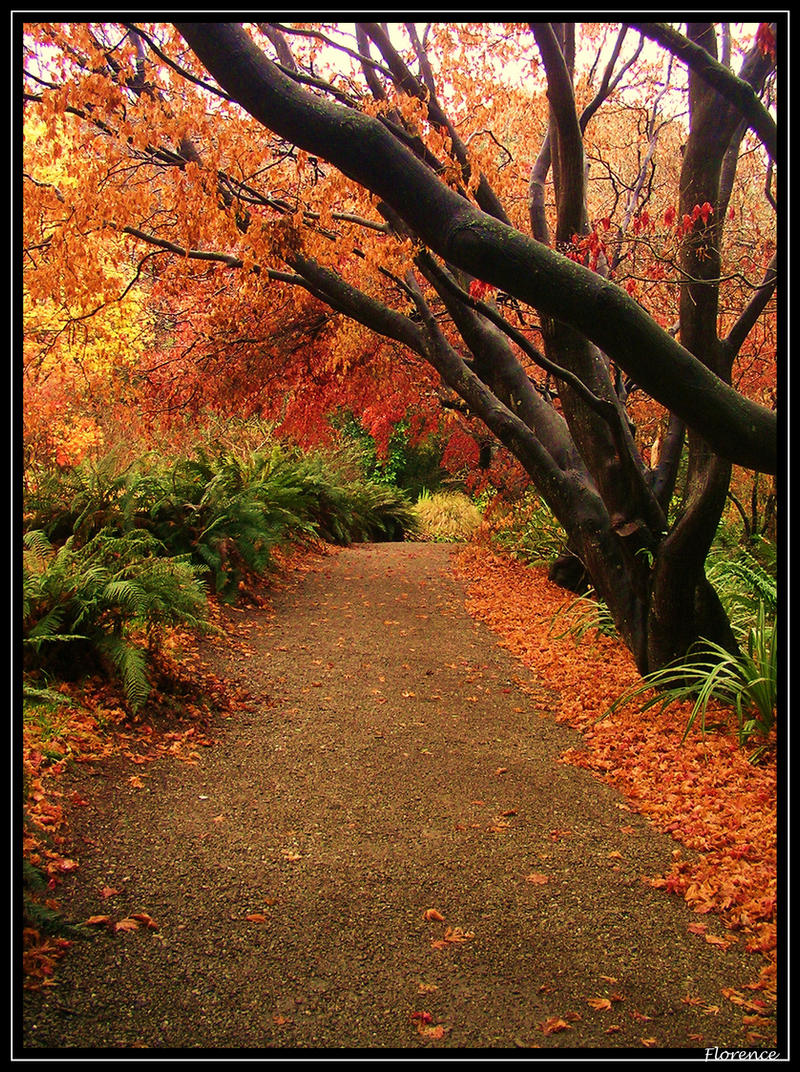 Road Not Taken by Clair3Su3 on DeviantArt