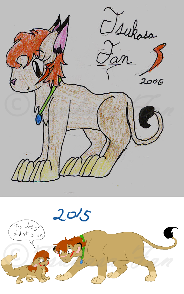 Tsukasa Fan Lion 2006 vs 2015