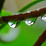 lovely Raindrops