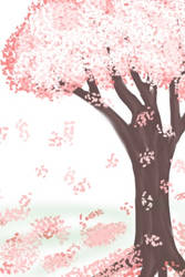 Sakura/cherry blossoms
