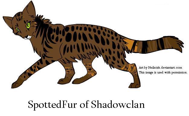 Spottedfur of Shadowclan