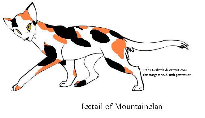 Icetail of Mountainclan