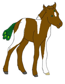 Pennaceous foal 1 - up for adoption!