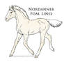 5256 foal design