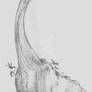 Brachiosaurus altithorax
