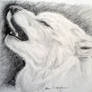 White Wolf