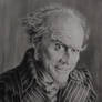 Jim Carrey as Count Olaf