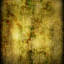texture 12