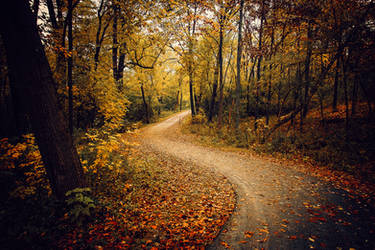 Autumn Path by AnthonyPresley