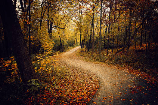 Autumn Path