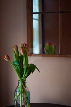 Easter Tulips