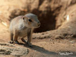 Tiny baby, don't be afraid by world ! by MorganeS-Photographe