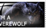 I'm a Werewolf