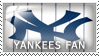 New York Yankees Fan by Wearwolfaa