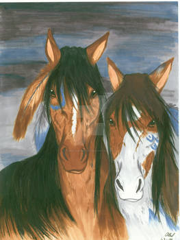 Horses