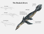 REP: The beaked divers