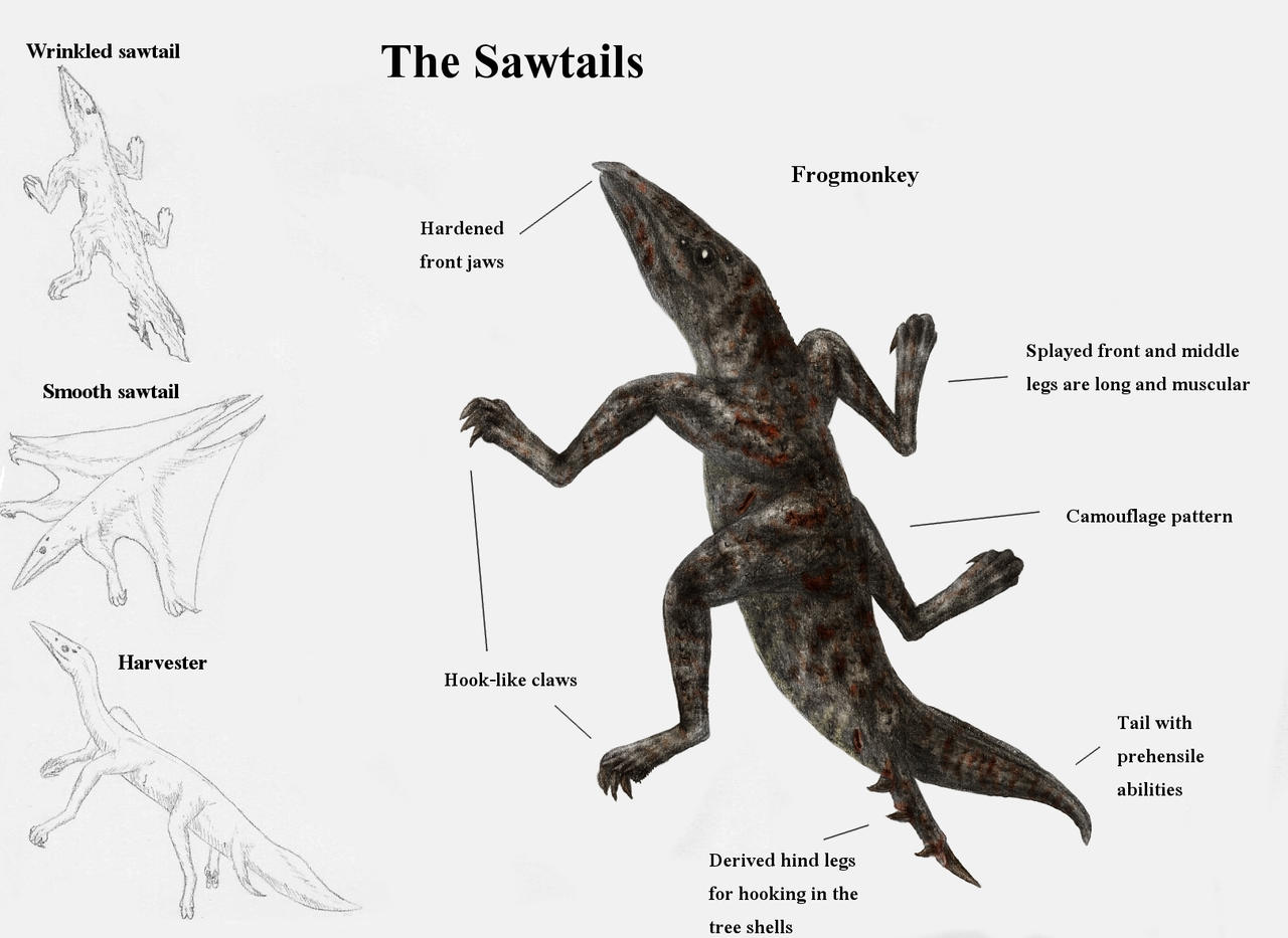 REP: The Sawtails