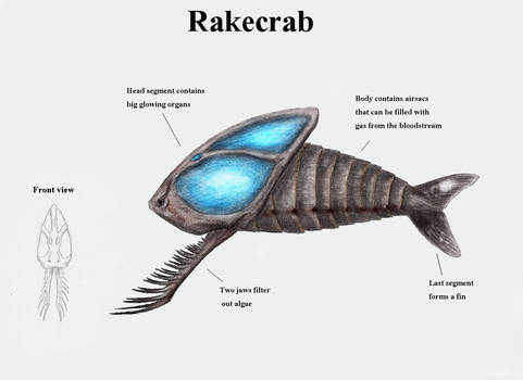 REP: Rakecrab