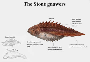 REP:The Stone gnawers