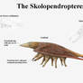 REP: The Skolopendropteres