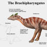 REP: The Brachipharyngates