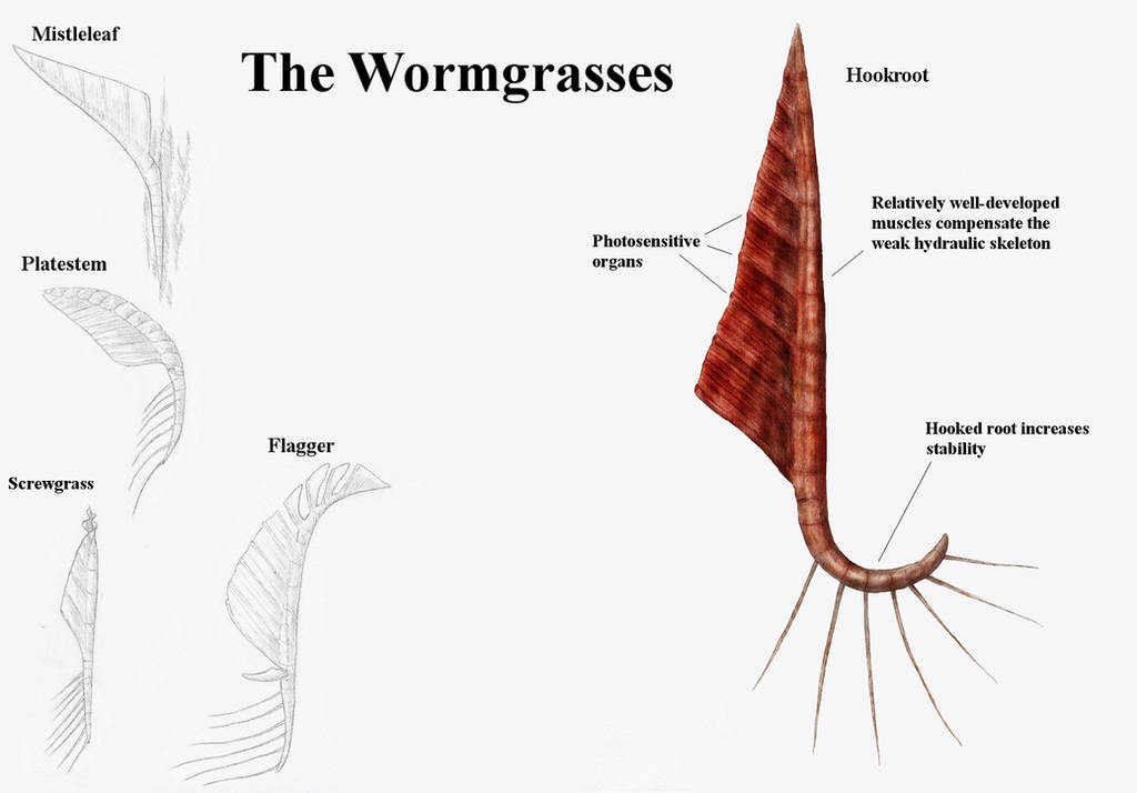 REP: The Wormgrasses by Ramul