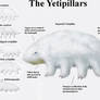REP: The Yetipillars