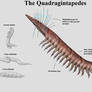 REP: The Quadragintapedes